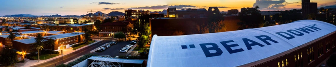 UArizona Banner Theme