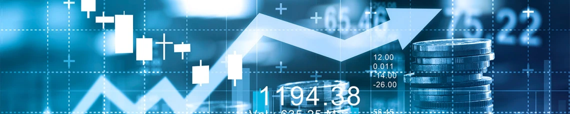 Finance Banner Theme