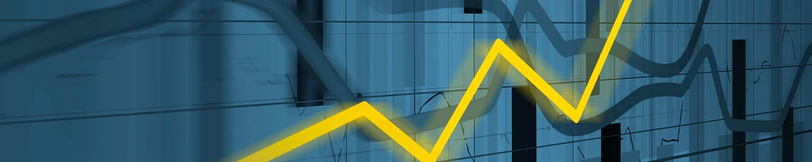 Finance Banner 20