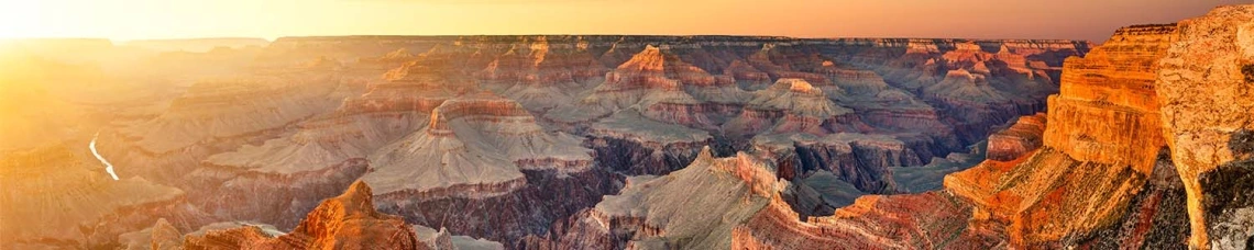 Nature Banner Theme