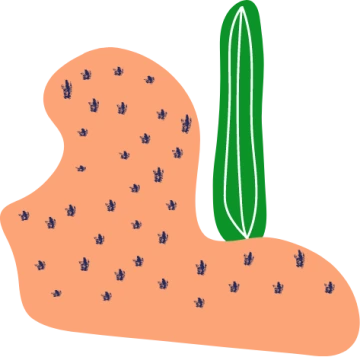 ""